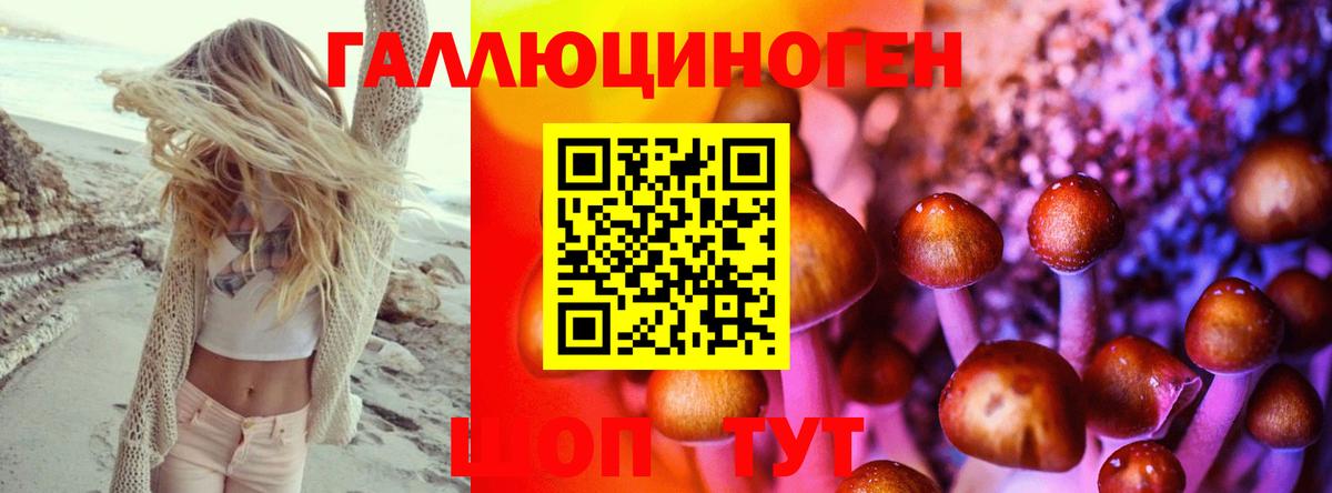 Галлюциногенные грибы мухоморы Сланцы