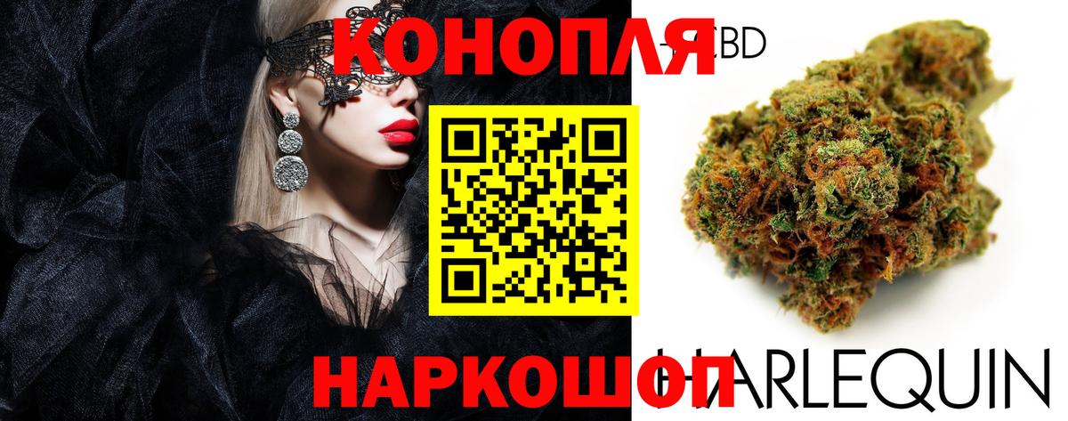 Шишки марихуана ГИДРОПОН Сланцы